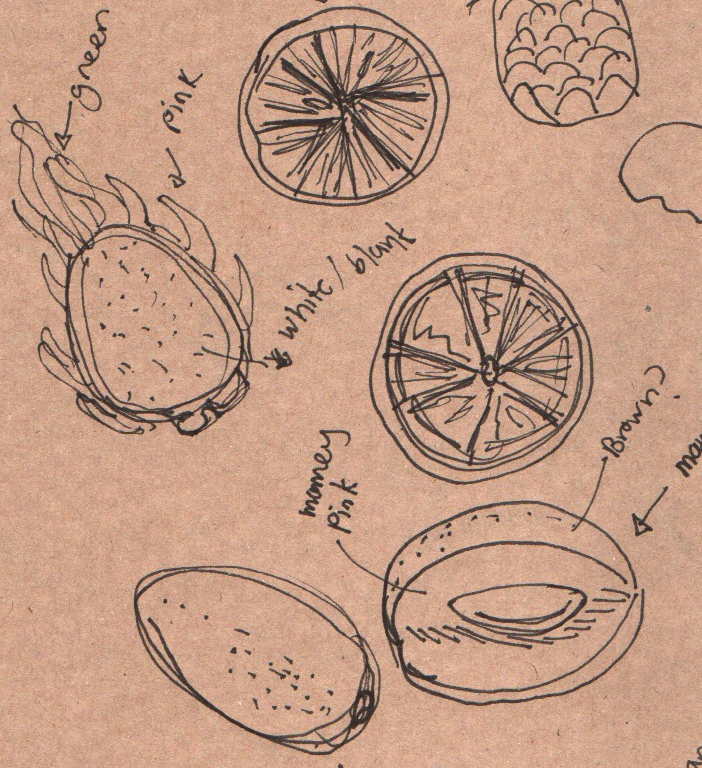 exploration sketch of fruits